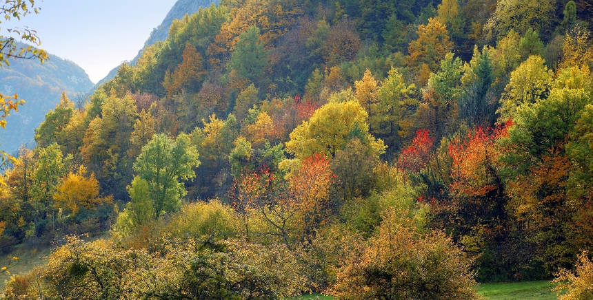 Changements climatiques : le CNFPT se mobilise