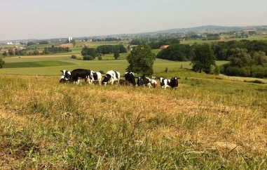 Pôle Aménagement et développement durable des territoires