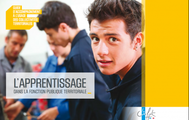 l'apprentissage dans la FPT