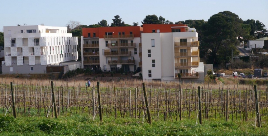Environnement ; santé