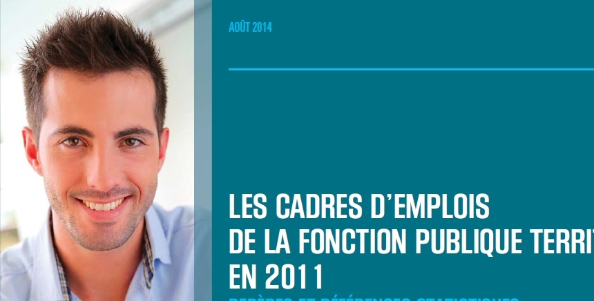 Nos Etudes Les Cadres D Emplois De La Fonction Publique Territoriale En 2011 Le Cnfpt