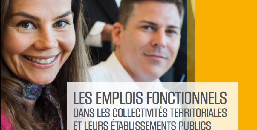 Nos Publications Les Emplois Fonctionnels Dans Les Collectivites Territoriales Et Leurs Etablissements Publics Le Cnfpt National