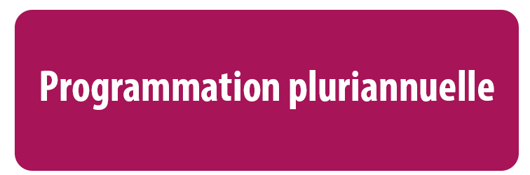 Bouton programmation pluriannuelle