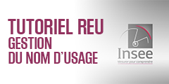 reu insee 4