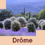 Image Drôme