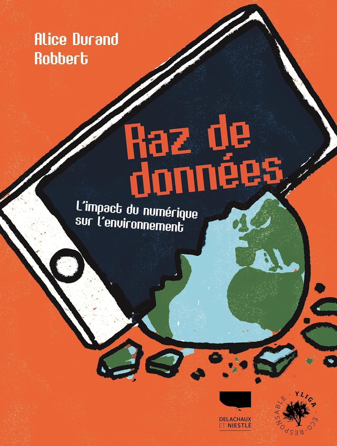 Raz de données.jpg