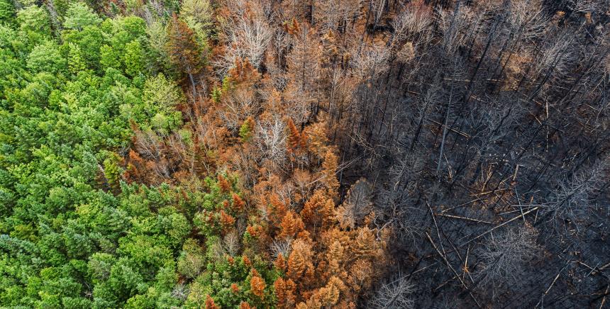 Visuel :  Gestion des risques naturels
