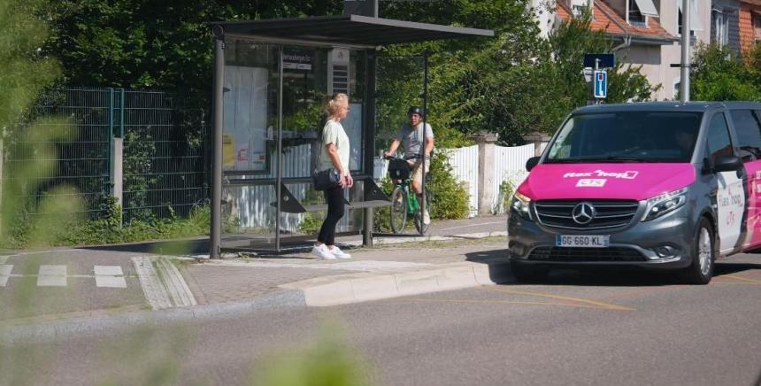 Mobilité, arrêt de bus, vélos, piéton dans rue arborée