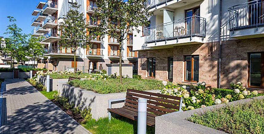 zone lotissement arboré